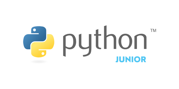 Python Junior